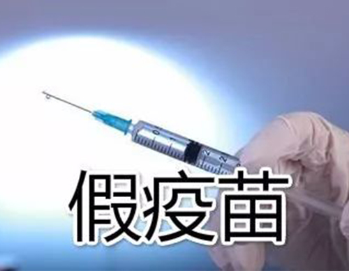 非洲豬瘟有疫苗了？假的！